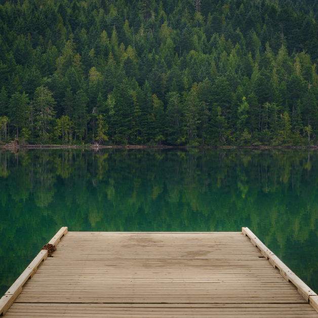 Züleyha Gülveren - Fibroz Displazi - fonksiyonelyasam.com