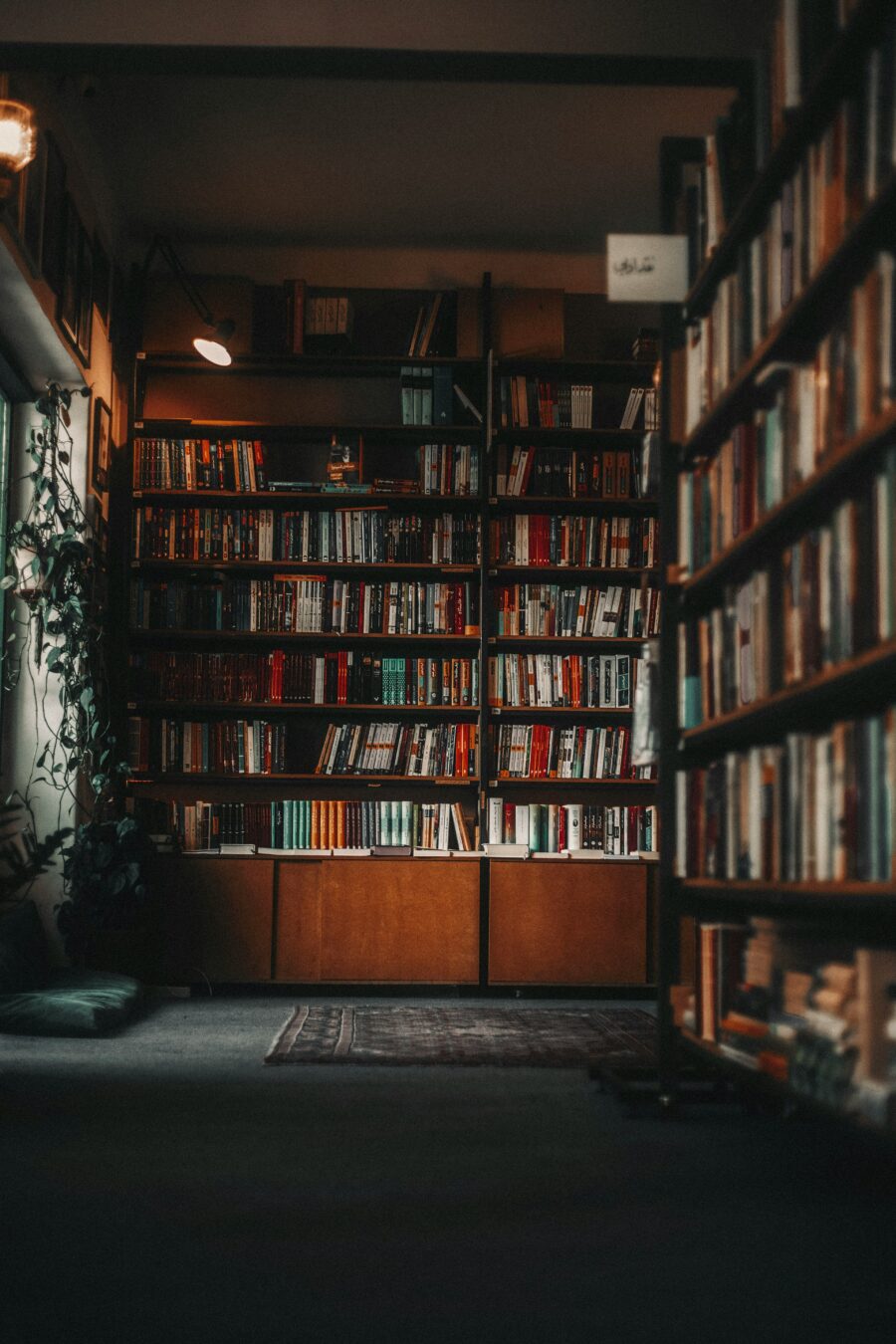 Okunmayan Kitaplar, Zihinsel Yük ve Üretkenlik Yanılsaması: Tsundoku Tsundoku: Okunmayan Kitaplar, Zihinsel Yük | Hülya Konar - Fonksiyonel Yaşam