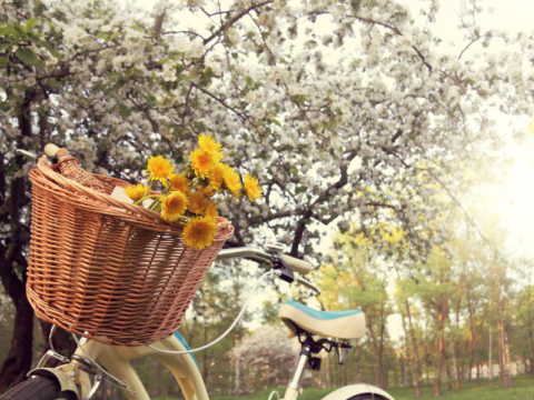 MART 2026 MART 2026 Uyanış, Denge ve Yeniden Doğuş Ayı - Hülya Konar