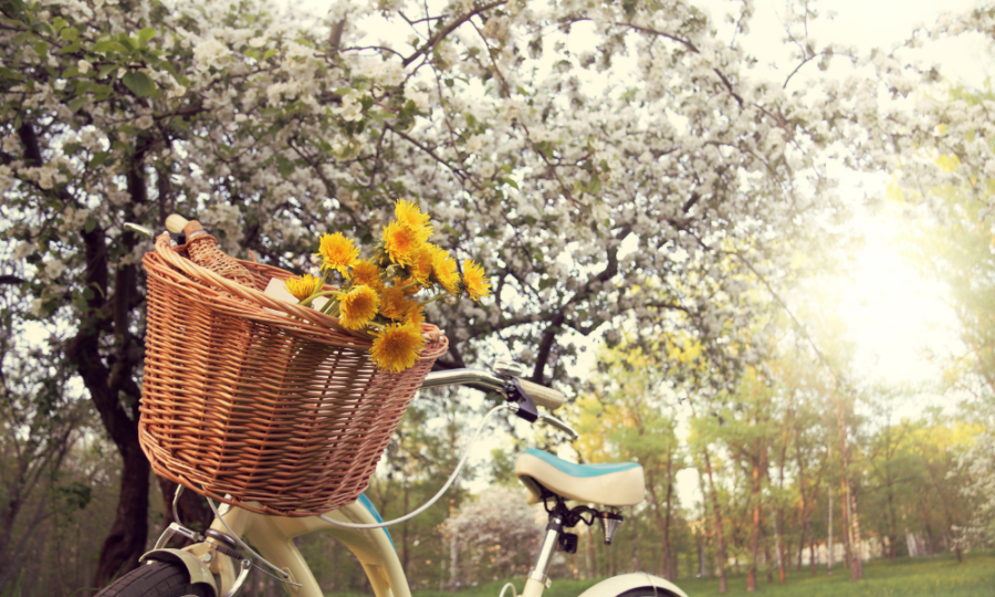 MART 2026 Uyanış, Denge ve Yeniden Doğuş Ayı - Hülya Konar