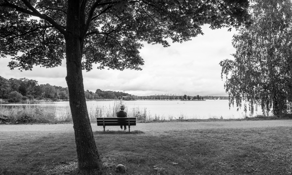“Anladım” Demek: Her Şeyin Başladığı Yer | Saim Volkan Işık -Fonksiyonel Yaşam