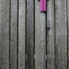 Defne Eren’in Endometriozis İle Yaşam Hikâyesi Defne Eren - Endometriozis ile Yaşamak | Fonksiyonel Yaşam