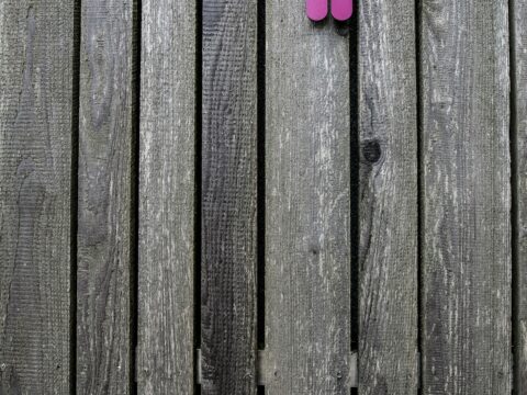 Defne Eren - Endometriozis ile Yaşamak | Fonksiyonel Yaşam