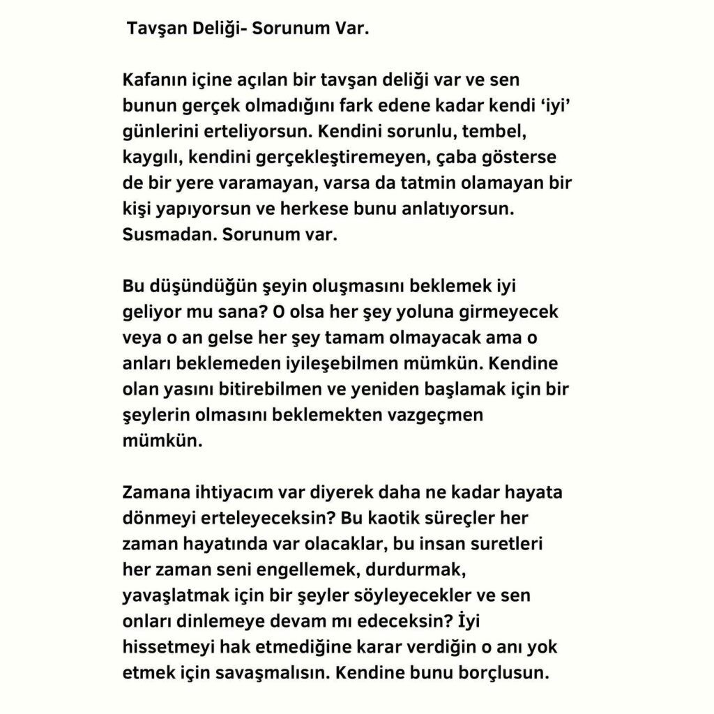 Tavşan Deliği - Yiğit Penguen | Fonksiyonel Yaşam