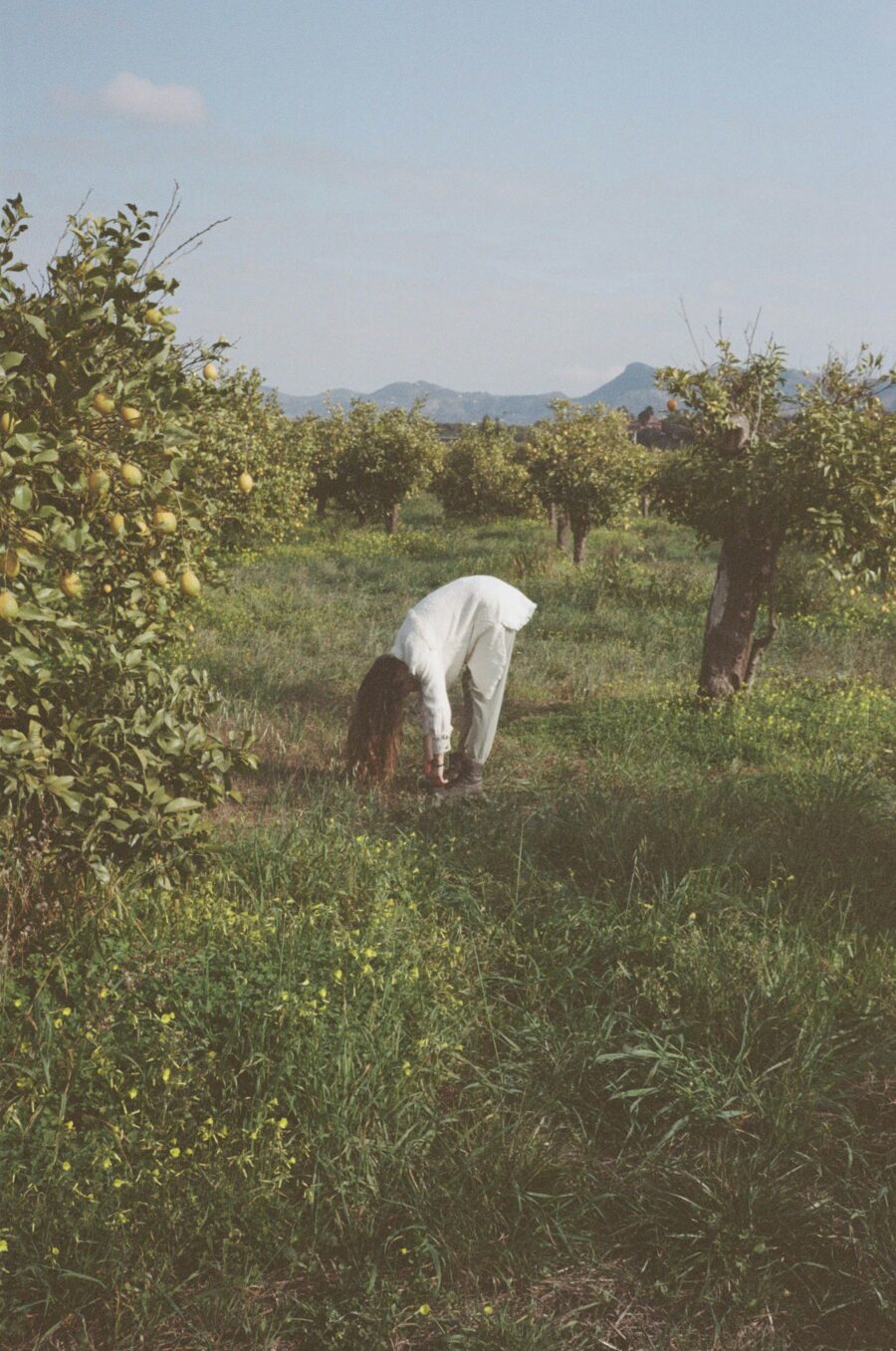 Vazgecmek ile Birakmak Arasindaki Fark - Fonksiyonel Yaşam