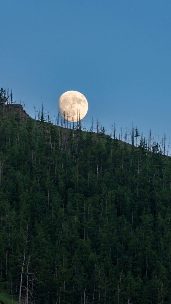 Geyik Dolunayı yani Buck Moon | Fonksiyonel Yaşam