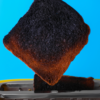 Yanmış Tost Teorisi Nedir? Yanmış Tost Teorisi | Fonskiyonel Yaşam